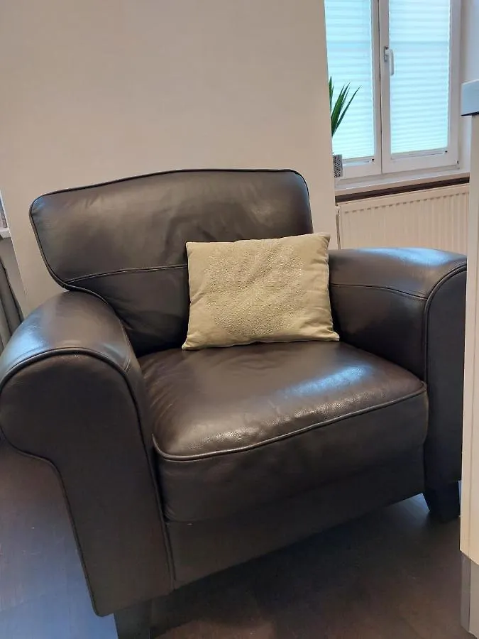 Grand Vienna City Center Apartment